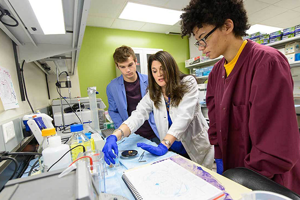 Heather Bimonte Nelson 1